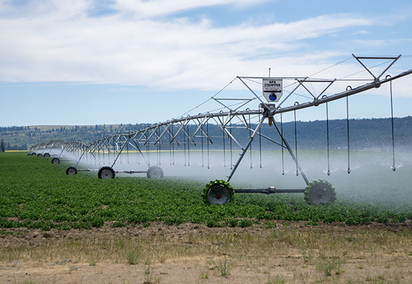 Irrigation des terres agricoles